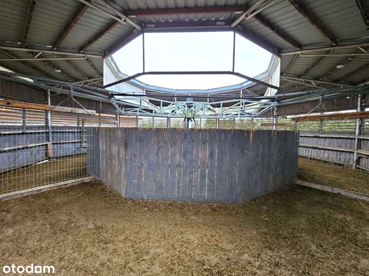 Dochodowa stajnia położona w okolicy Strykowa-8