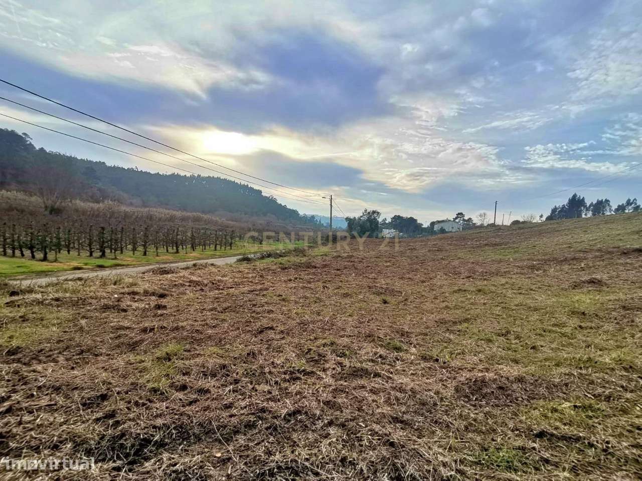 Terreno Urbano para Venda - Possibilidade de construção de 3 moradias - Grande imagem: 5/11