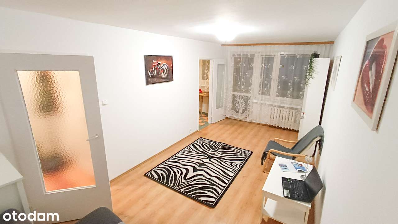 KAWALERKA - Bez prowizji - Dostępna od zaraz - Pełny obrazek: 4/14