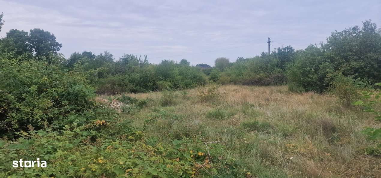 TEREN POIANA LACULUI - Imagine principală: 3/4