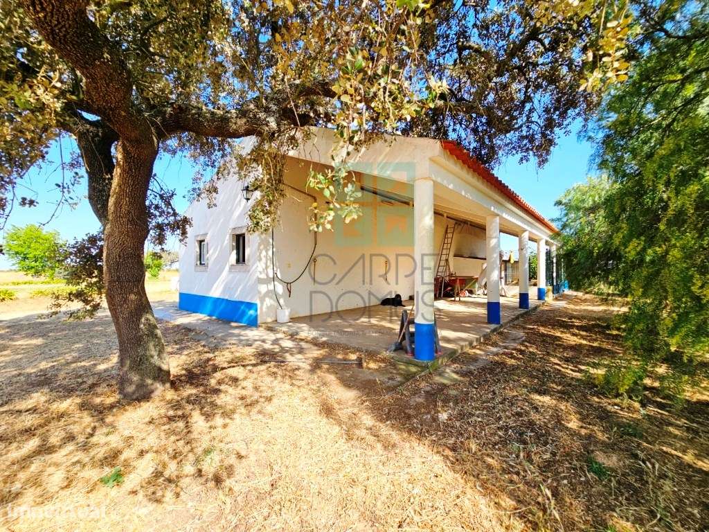Herdade equestre com moradia T5 e piscina, 93,5ha, em Ourique, Alen...-27