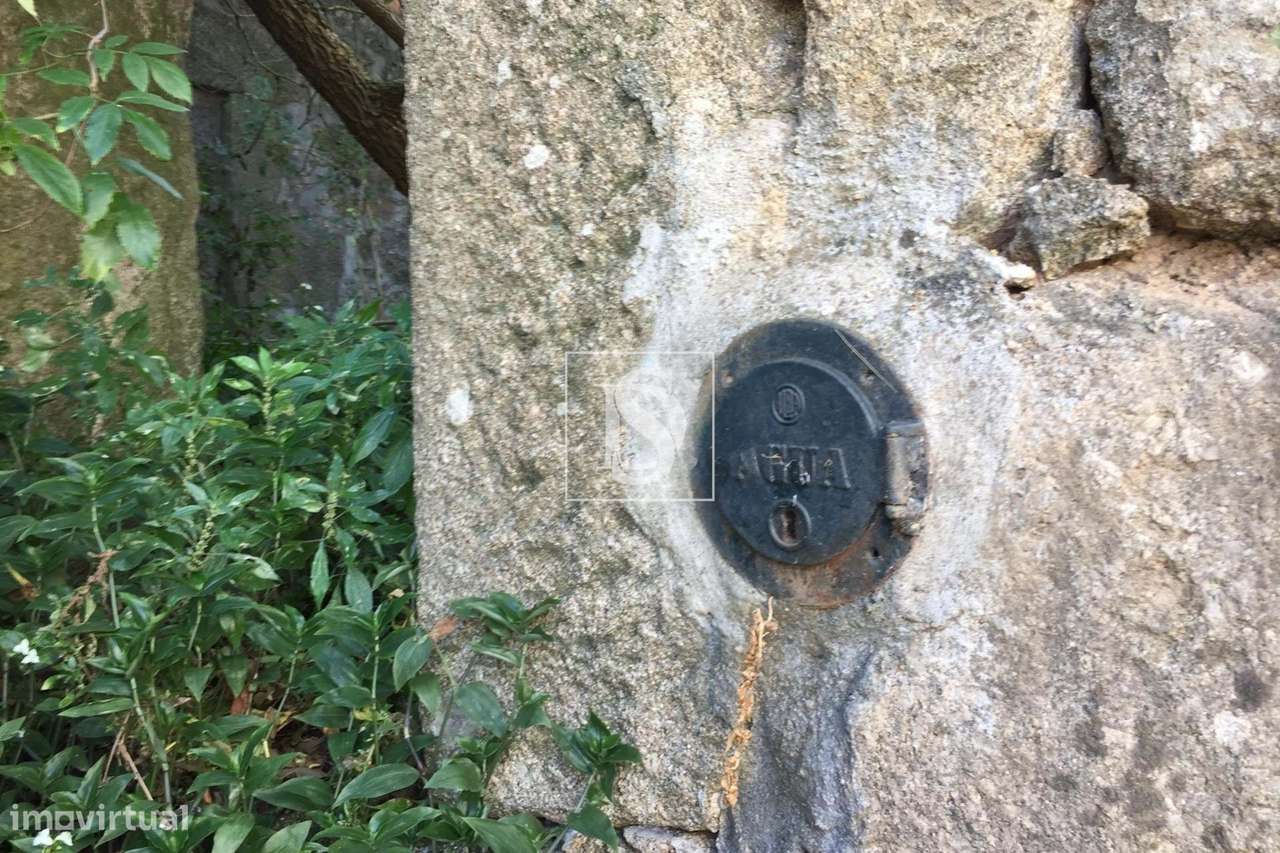 Moradia em ruína para restaurar em Santo Evos, Viseu - Grande imagem: 4/9