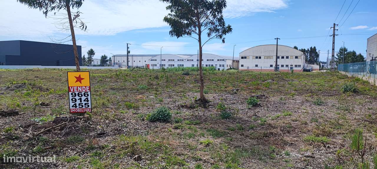Zona Industrial CANTANHEDE - LOTE de Excelência-29