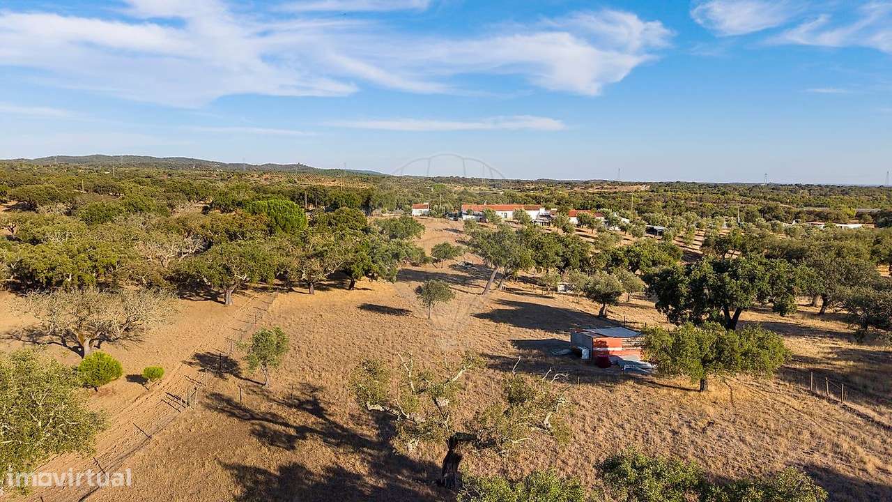 Terreno  para venda-5