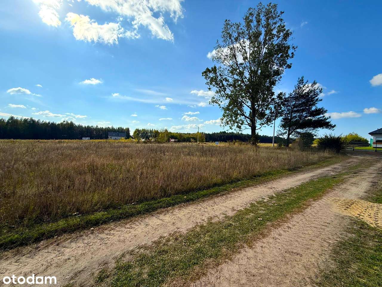 Idealne miejsce na Twój wymarzony dom- gotowa pod budowę - Pełny obrazek: 4/5