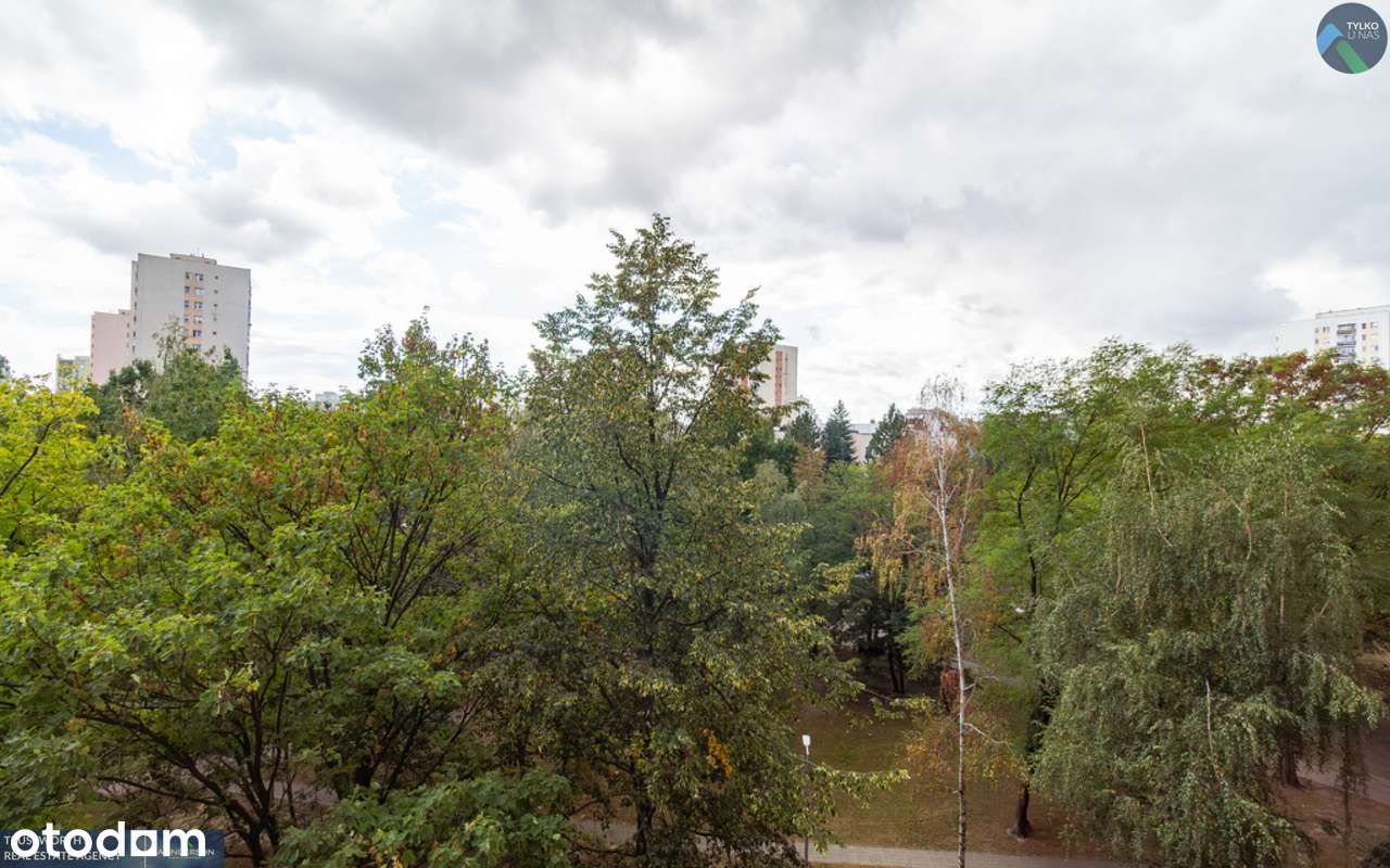 Mokotów, przestronne 3 pokojowe z loggią-0