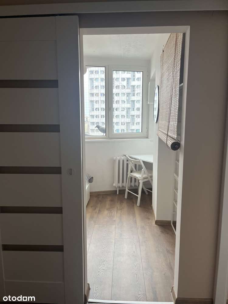 Plac Grunwaldzki "Sedesowce" 1 Pokój na wynajem Mieszkanie po remoncie - Pełny obrazek: 2/20