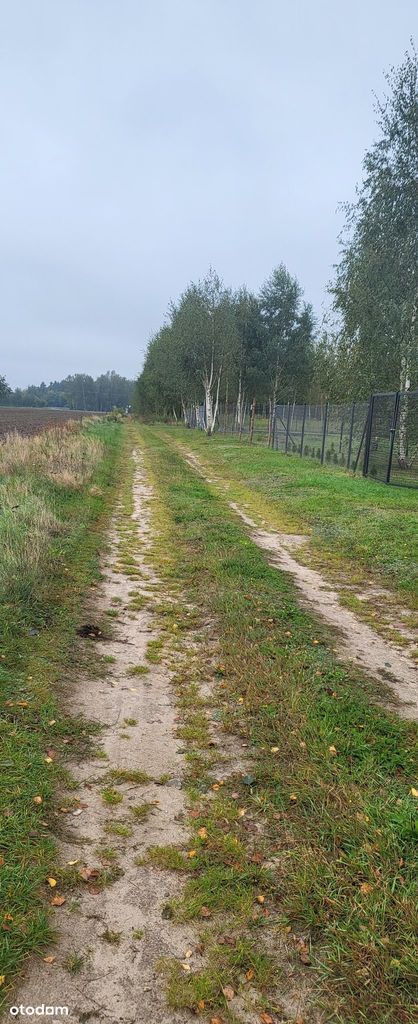 Działki w atrakcyjnej lokalizacji Nowy Białynin