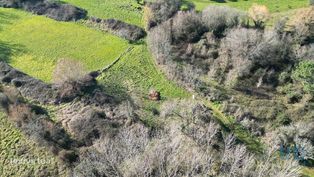 Terreno Agrícola em Espinhal - Grande imagem: 5/23