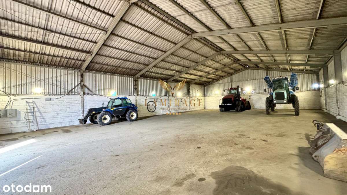 Magazyn od zaraz - Pełny obrazek: 2/6