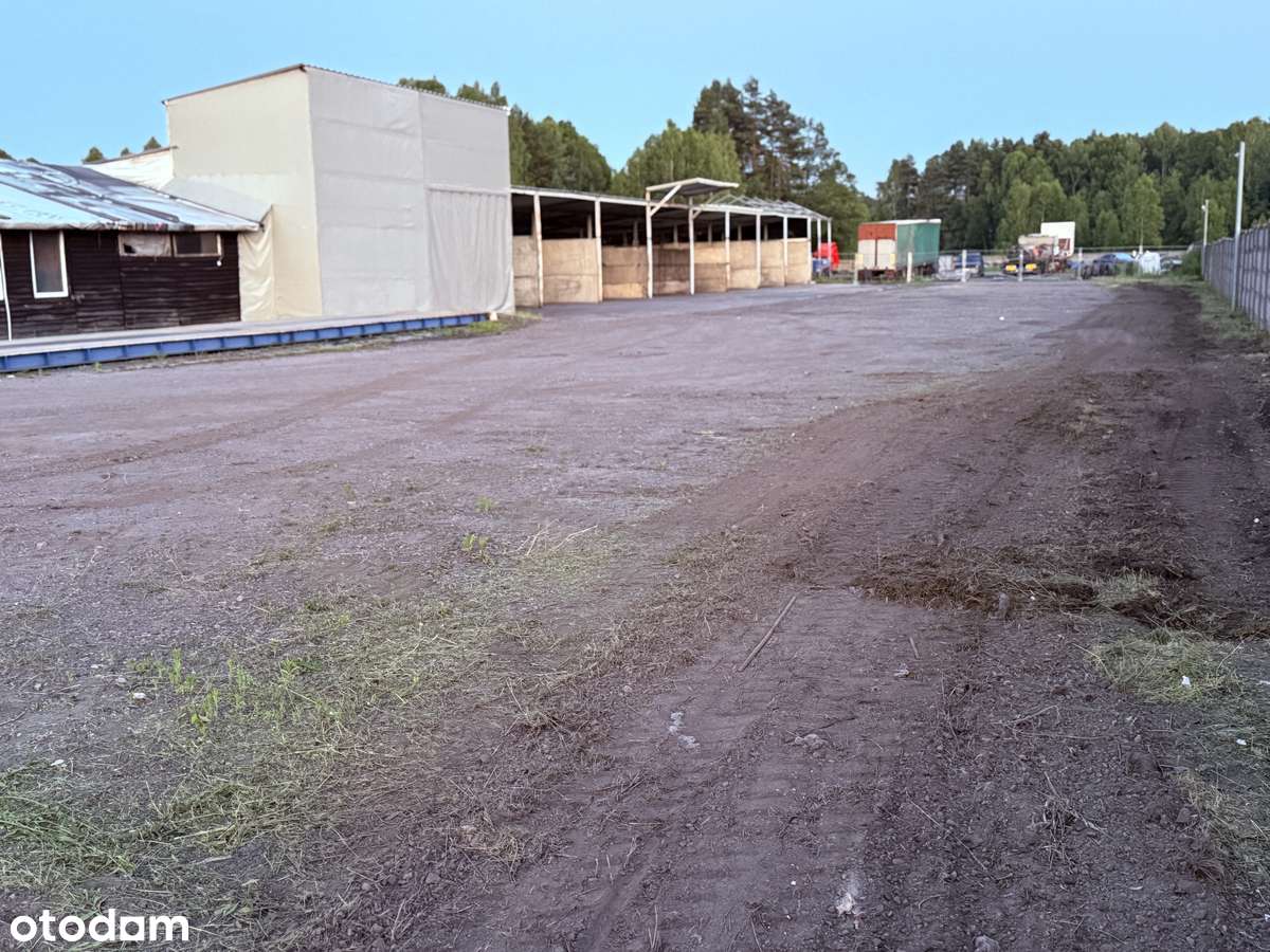 Wynajmę plac, skład opału , materiałów ,baza transportowa ,FV - Pełny obrazek: 5/12