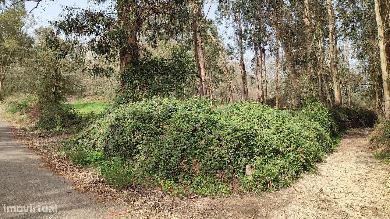 Terreno em Turiz, Vila Verde-13