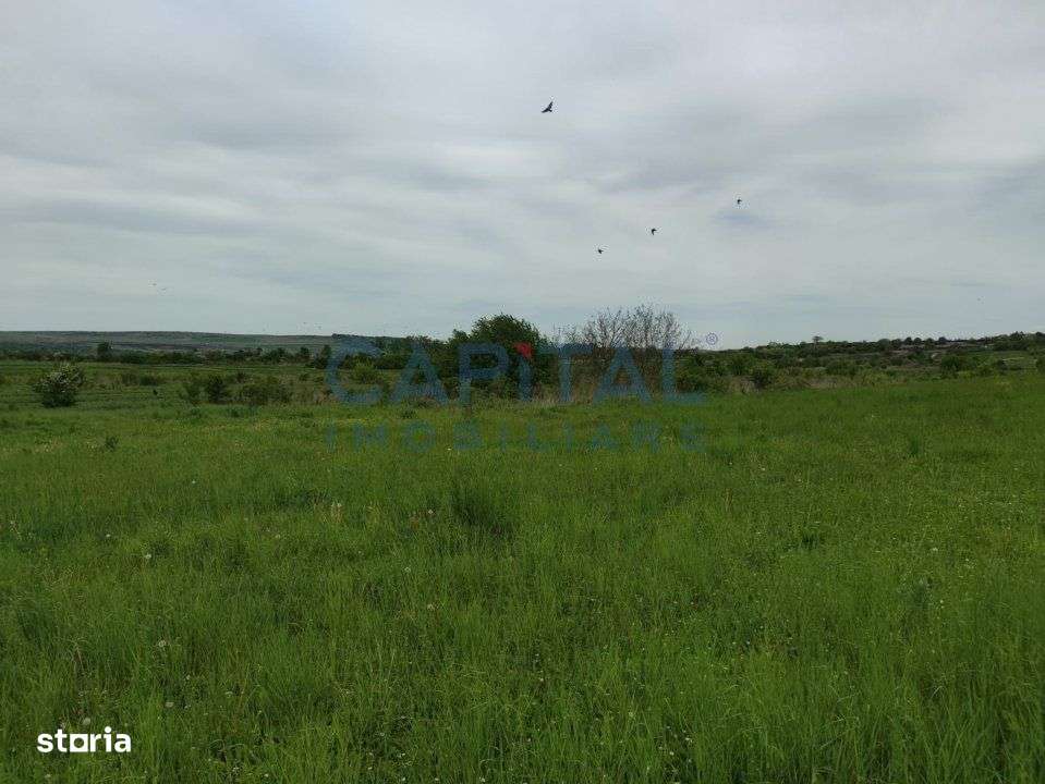 Comision 0%! Oportunitate, teren intravilan, 800 mp Masterplan, Sopor - Imagine principală: 5/5