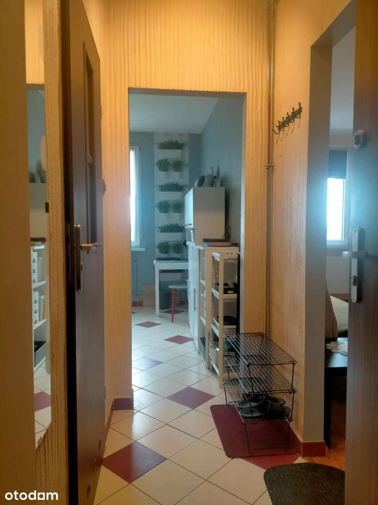 Duża kawalerka, z osobą kuchnią-5