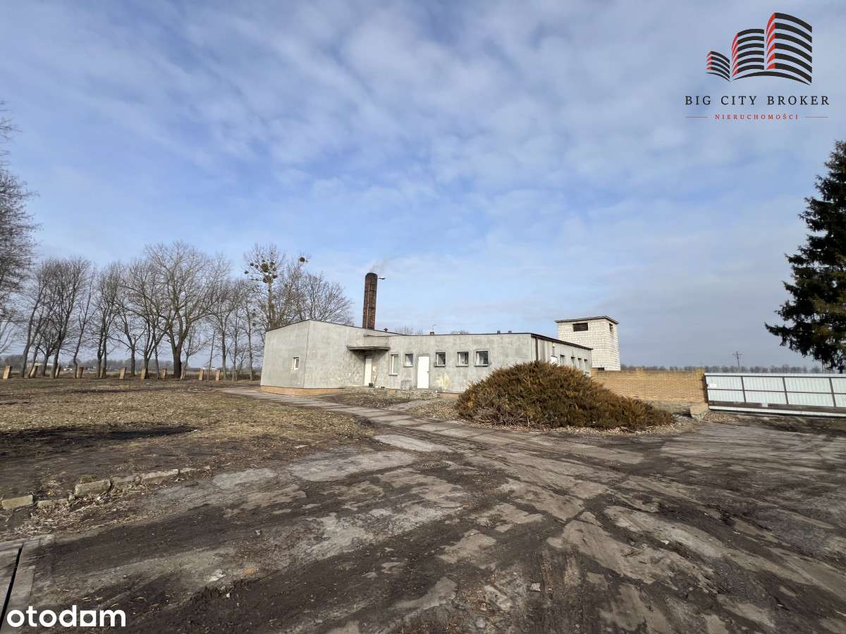 Działka przeznaczone do hodowli lub upraw - Pełny obrazek: 5/7