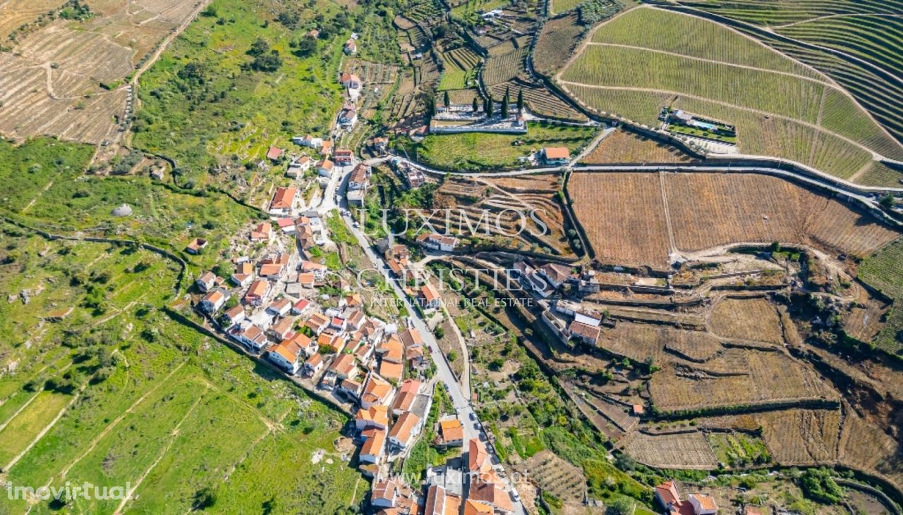 Quinta vinícola para venda no Alto Douro Vinhateiro, Douro Valley