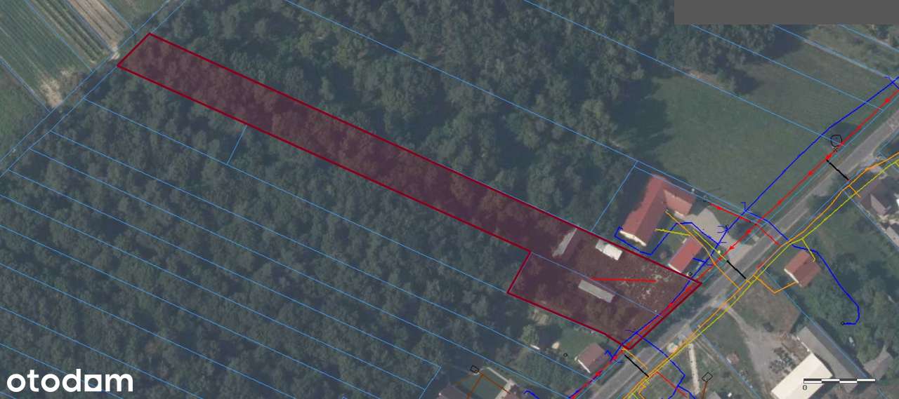 Atrakcyjna, uzbrojona działka pod budowę domu z prywatnym lasem-18