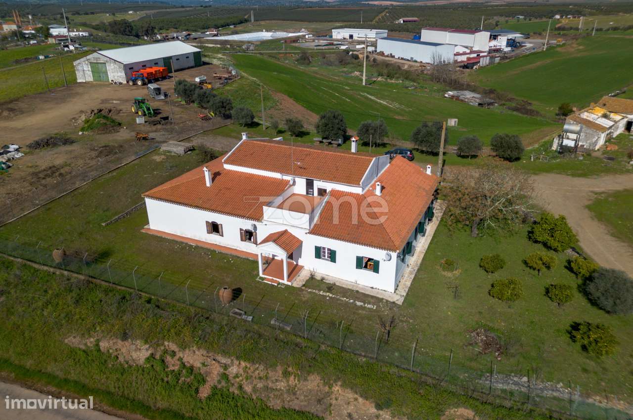 Monte Alentejano em Brinches (Serpa)-47