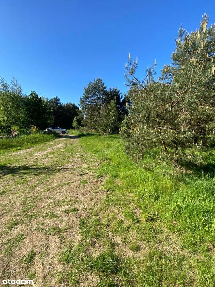 NOWA CENA!   Działka Domysłów, 5km od morza WOLIN-3