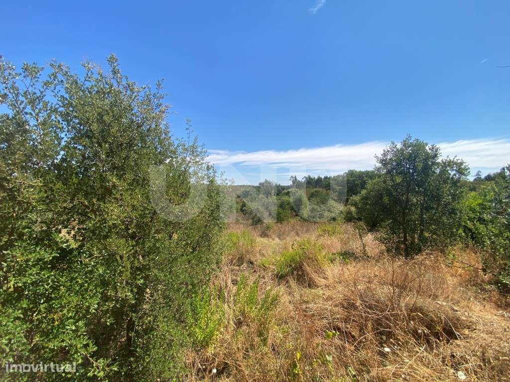 Terreno rústico com 1400m2 de área - Grande imagem: 3/3