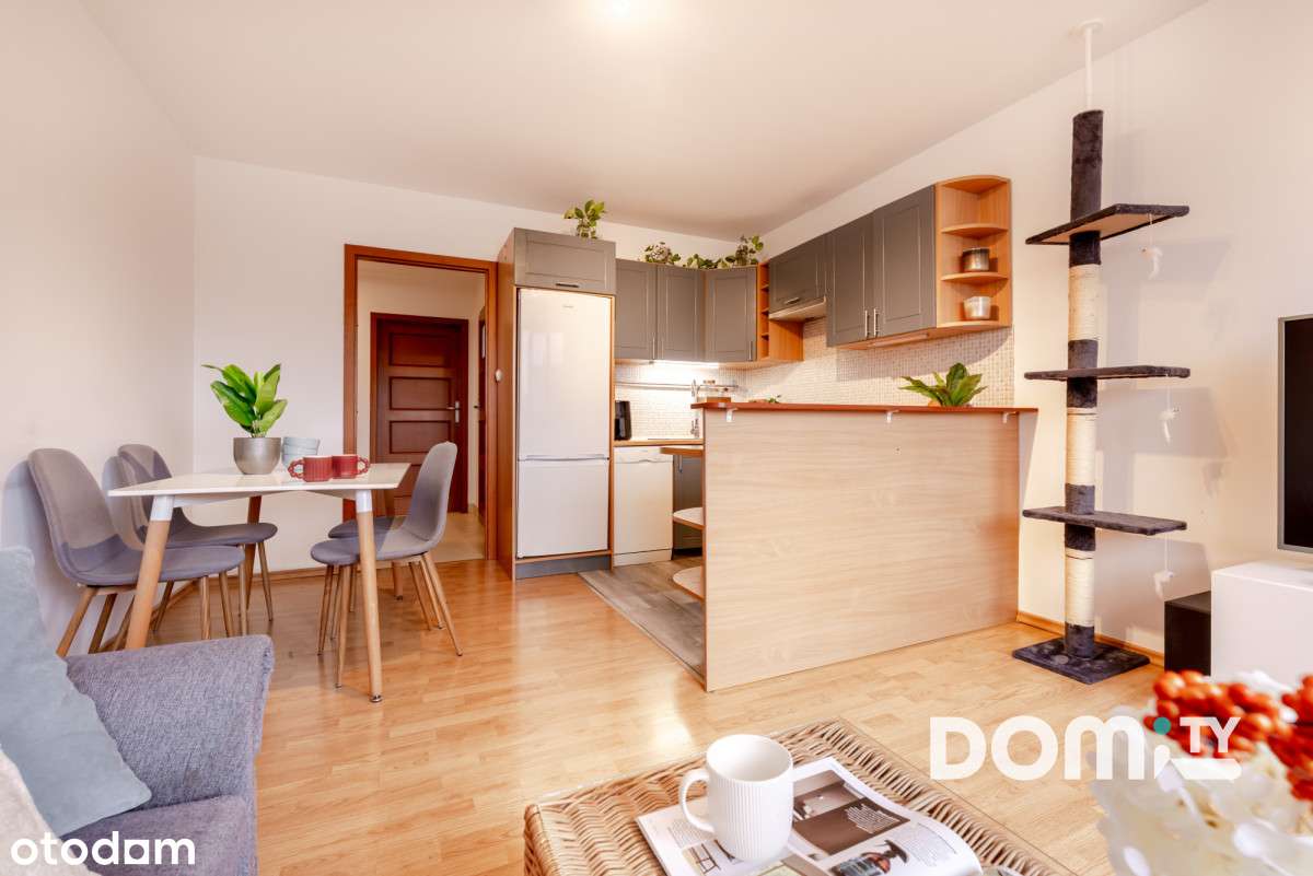 Oferta Zawieszona do 21.11! Tbs, 3 pok, Odświeżone-10