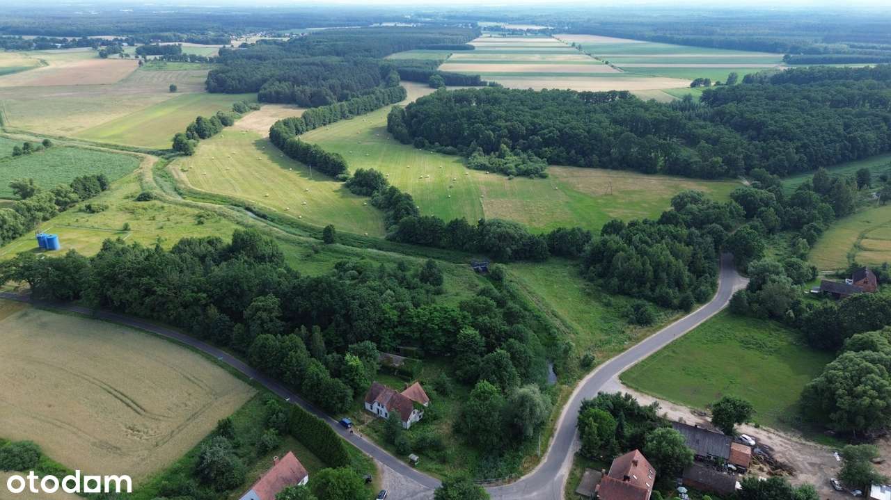 Wyjątkowa posiadłość w sercu lasu | Henrykowice k. Milicza | Dom 280 m-12