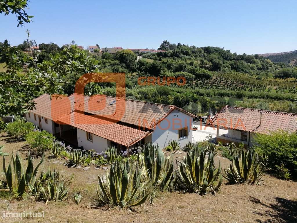 Magnífica propriedade tipo quintinha!!-35