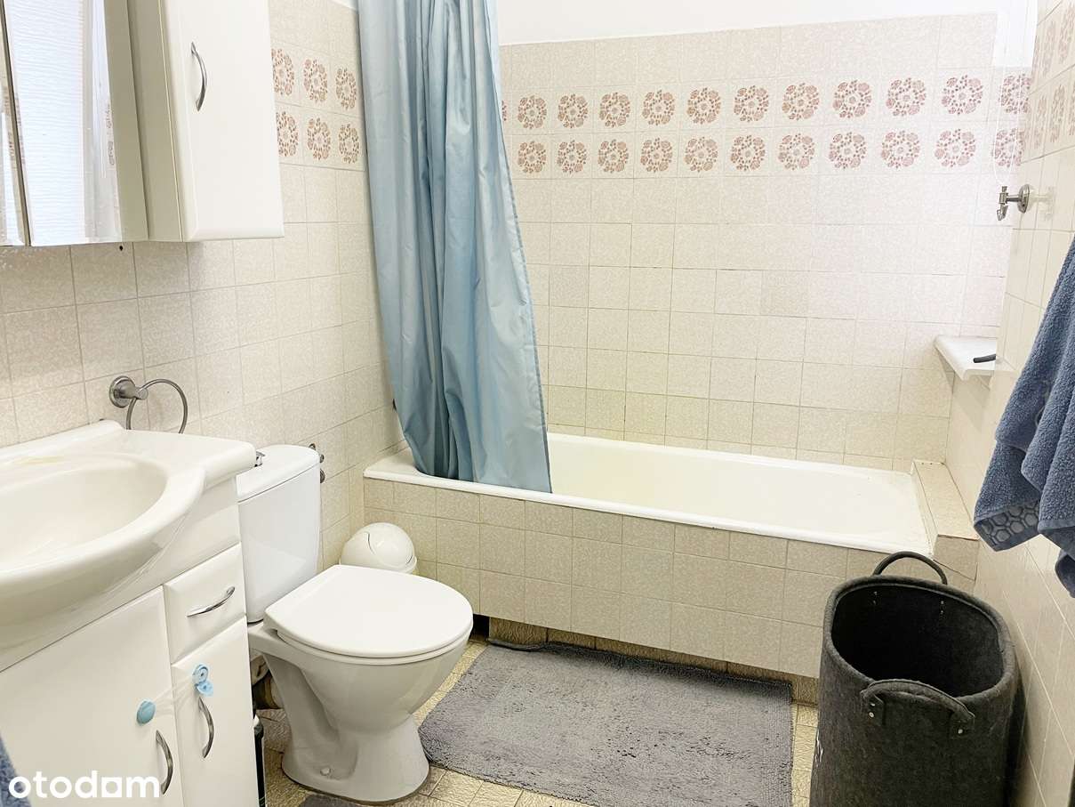 Biskupin, wolnostojący, duża działka-7