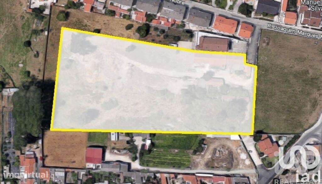 Terreno Agrícola em Marinha Grande - Grande imagem: 2/2