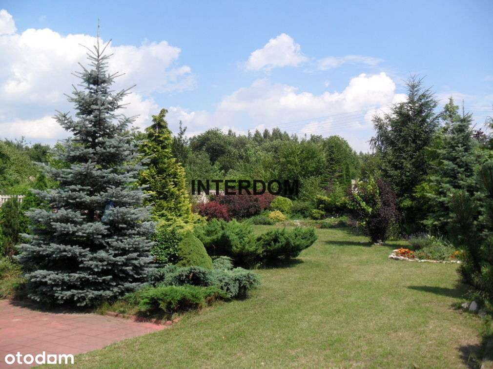 Obiekt Magazynowy Dąbrowa G. - Pełny obrazek: 4/5