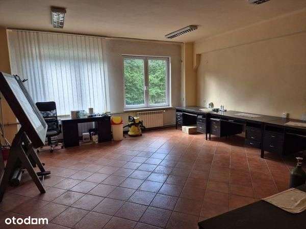 Lokal użytkowy, 5 024,50 m², Pionki-3