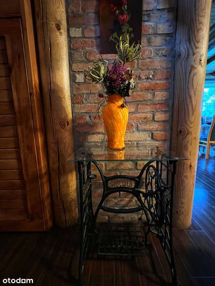 Posiadłość z bala, stawy, prywatny las!Jeziorak-16