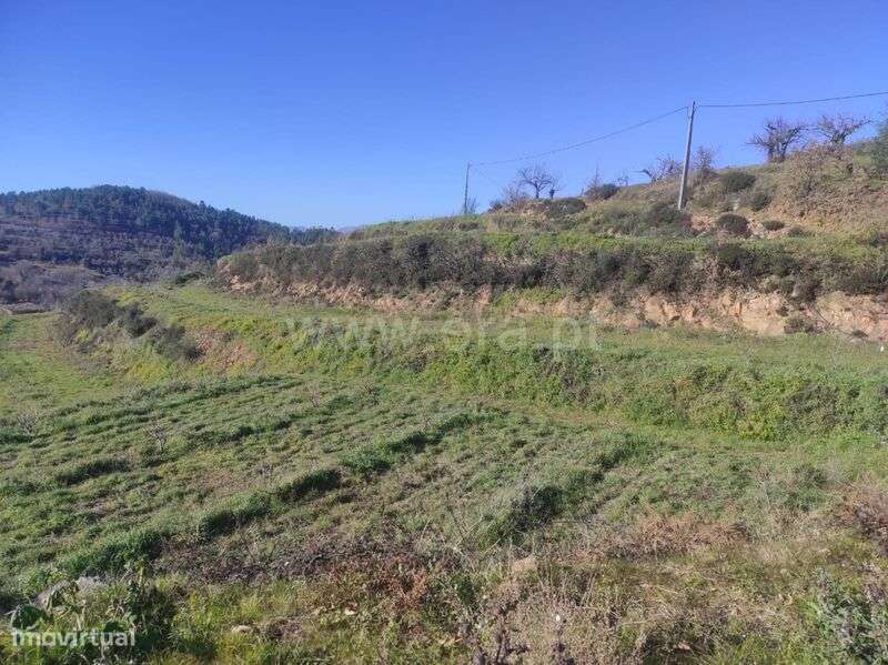 Terreno / Fundão, Alcongosta - Grande imagem: 5/12