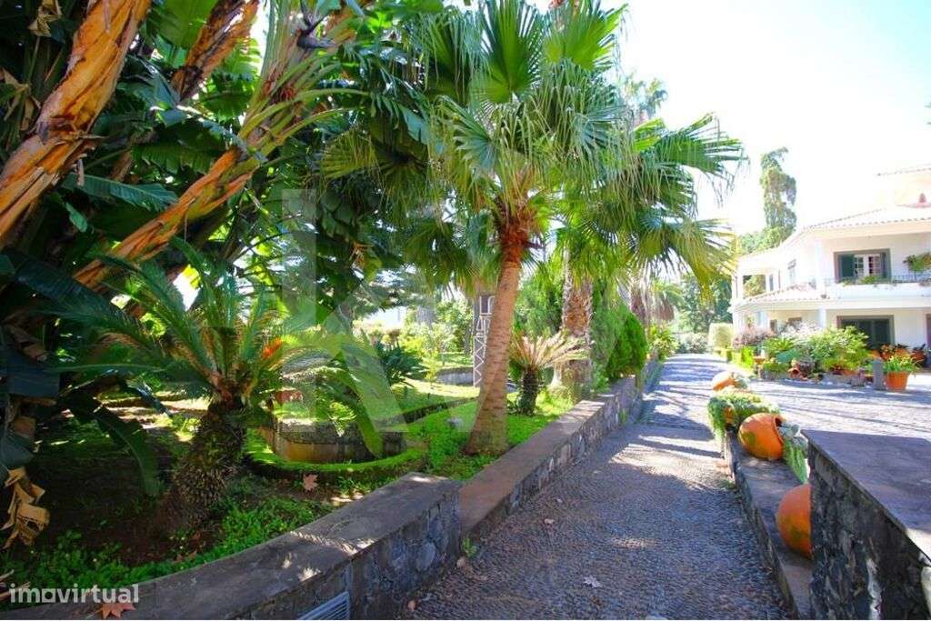 Esplêndida casa, ( 6 suites grandes), 4 salas grandes, 9 WC, cerca de - Grande imagem: 4/60