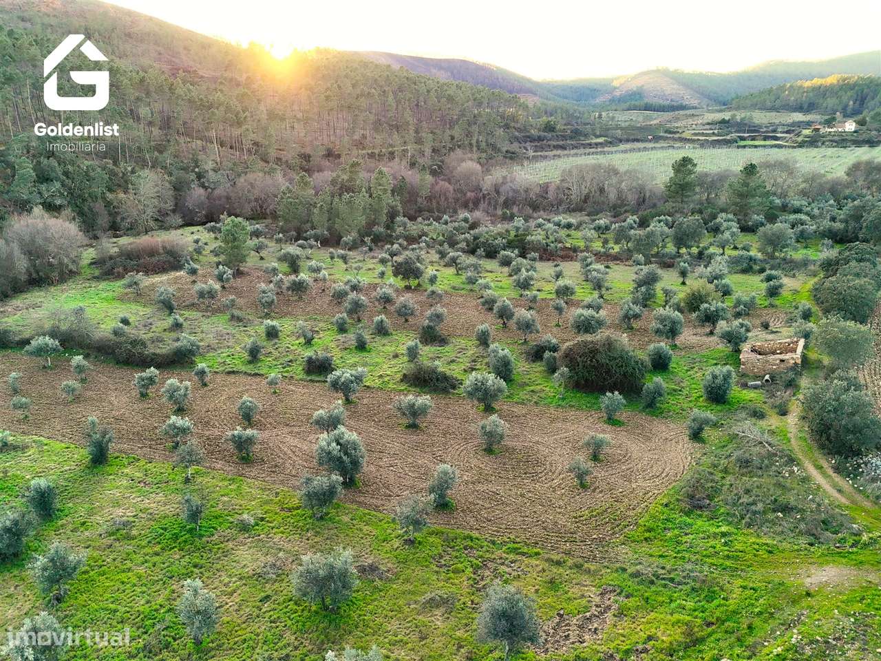 Quintinha  Venda em Freixial e Juncal do Campo,Castelo Branco - Grande imagem: 5/27