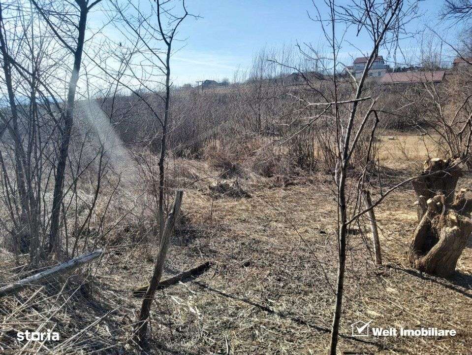 Teren intravilan, 1000 mp, Ciurila - Imagine principală: 3/6