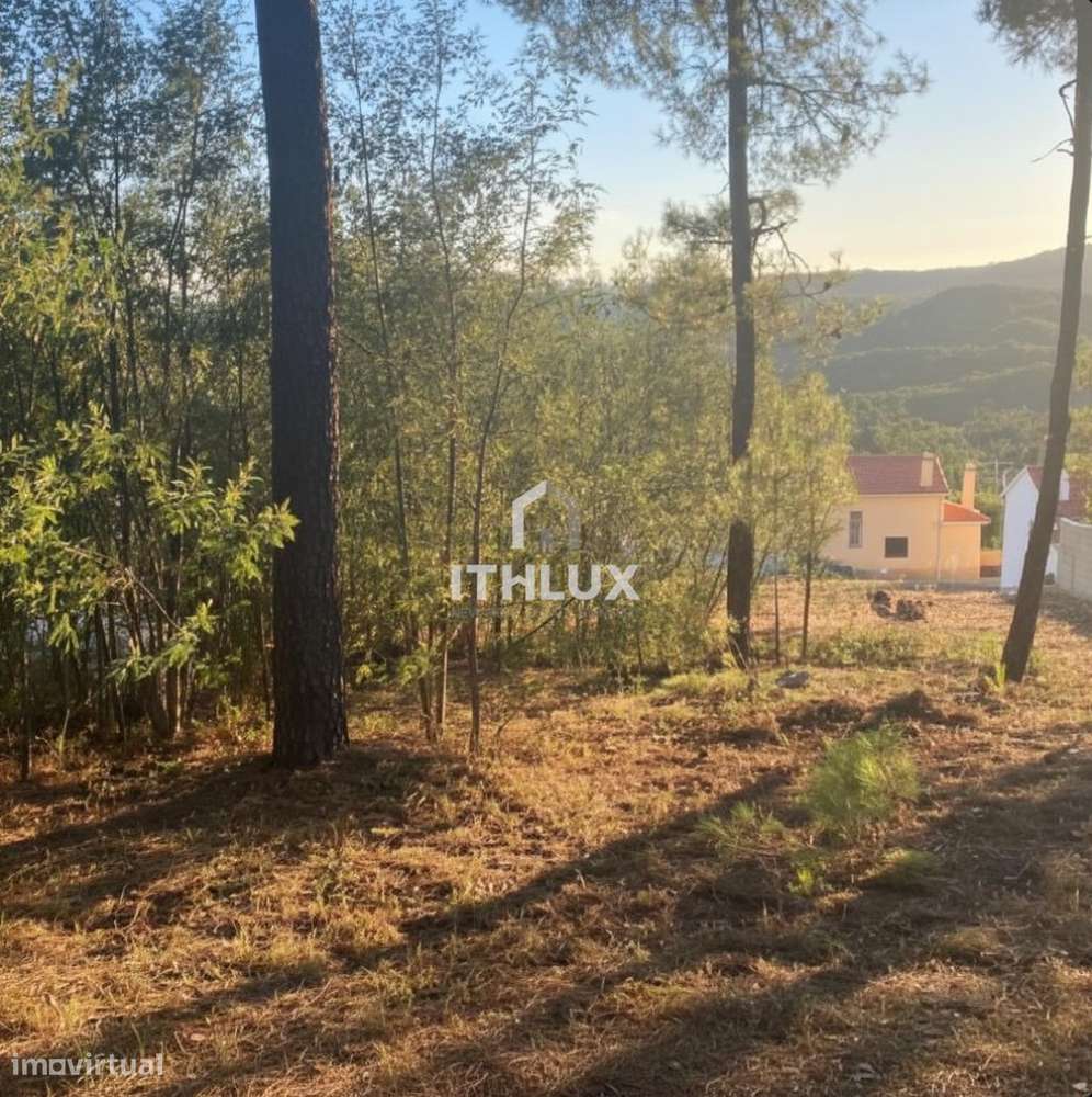 Terreno com Viabilidade de Construção – Amêndoa, Mação (Santarém) - Grande imagem: 2/6