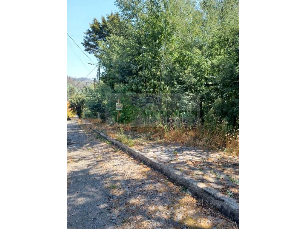 TERRENO JUNTO AO CENTRO DA VILA COM VIABILIDADE DE CONSTRUÇÃO - Grande imagem: 4/8