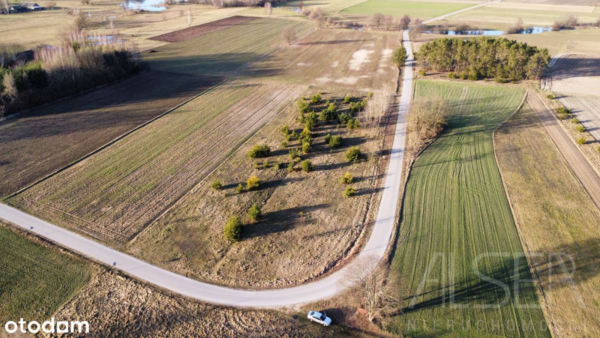 Duża Działka Budowlana Z Możliwością Podziału - Pełny obrazek: 5/18