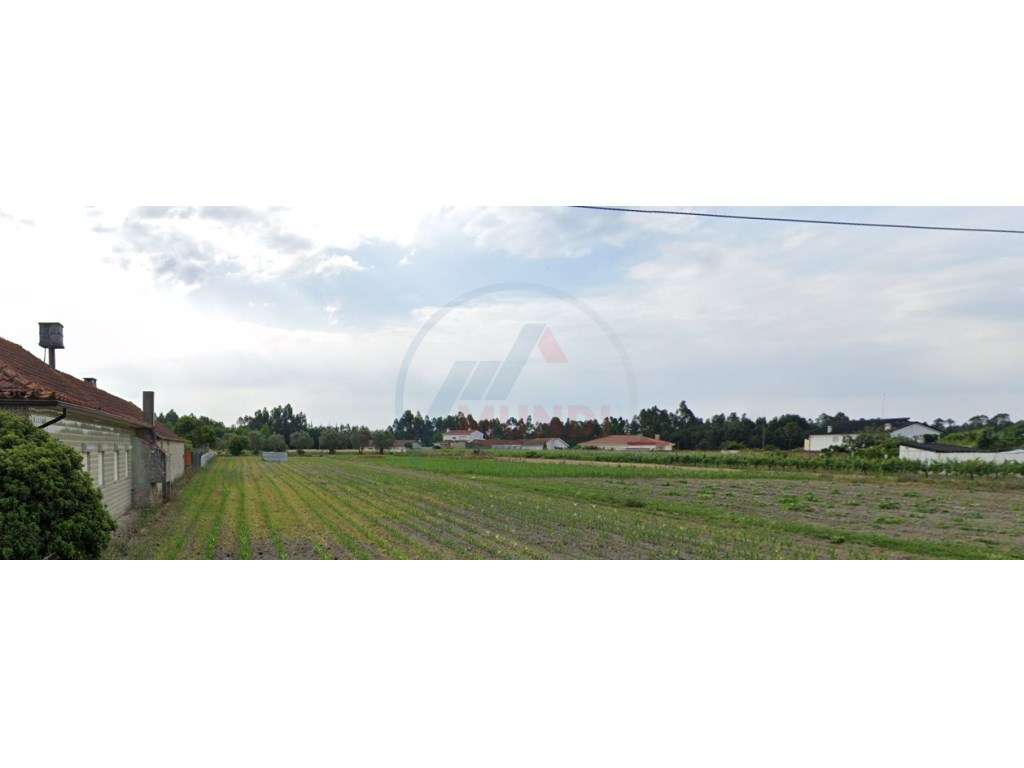 Terreno urbanizável com cerca de 20 metros de frente e poço - Grande imagem: 3/5