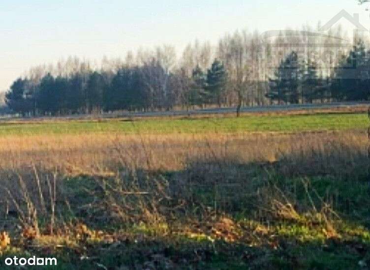 Sprzedaż działki w Woli Krakowiańskiej, Nadarzyn - Pełny obrazek: 4/4