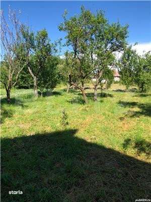 Casa de vanzare, cu 3 camere, 100 m², teren 5 arii, zona Ciceu-Corabi - Imagine principală: 4/7