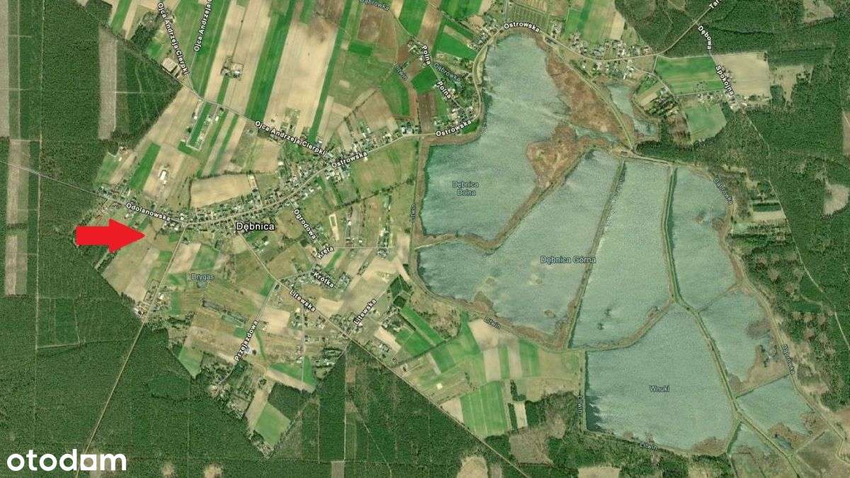 Duża działka pod osiedle domów jednorodzinnych-3