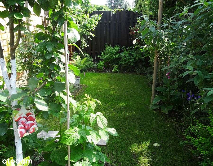 Wrocław , 297m2 , 5 pokoi , 2 łazi. , GARAŻ , OGRÓD-12