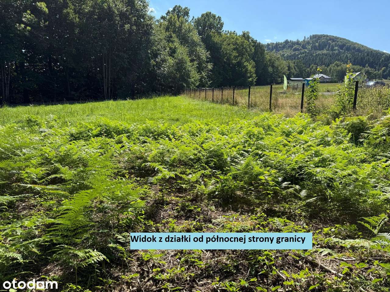 Działka w Brennej z pieknym widokiem - Pełny obrazek: 5/12