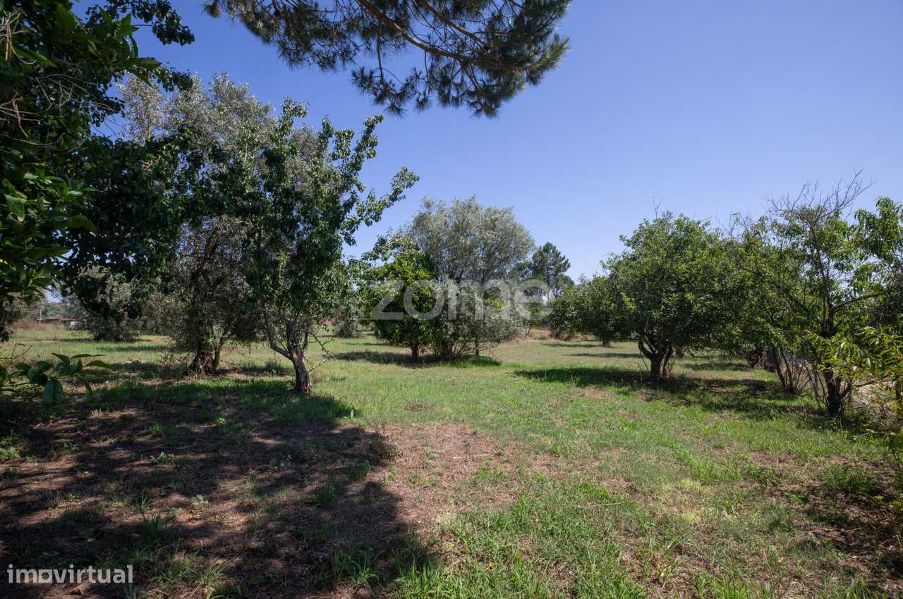 Terreno São Facundo - Coimbra - Grande imagem: 2/17