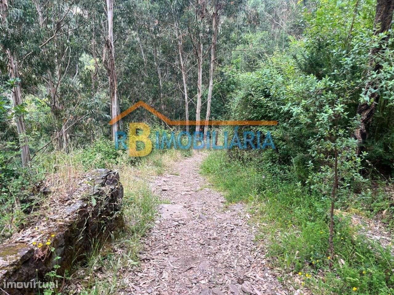 3 moradias em Rio de Frades - Arouca-12