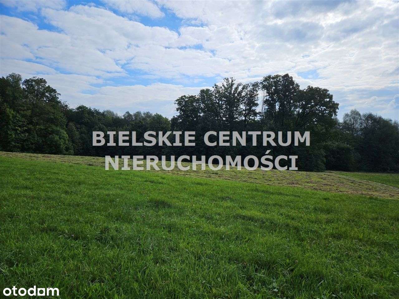 Działka, 13 942 m², Mazańcowice-4