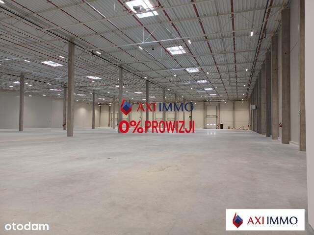 Magazyn w Pabianicach short term 15 000 m2