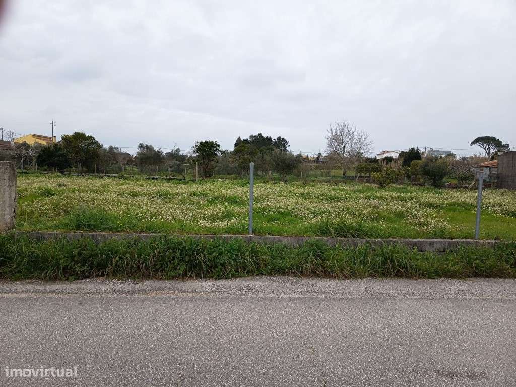 Terreno em Carapinheira - Grande imagem: 5/5